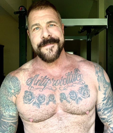 free6cams.com roccosteelenyc profile on OnlyFans in gay category